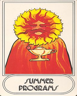 Card-13